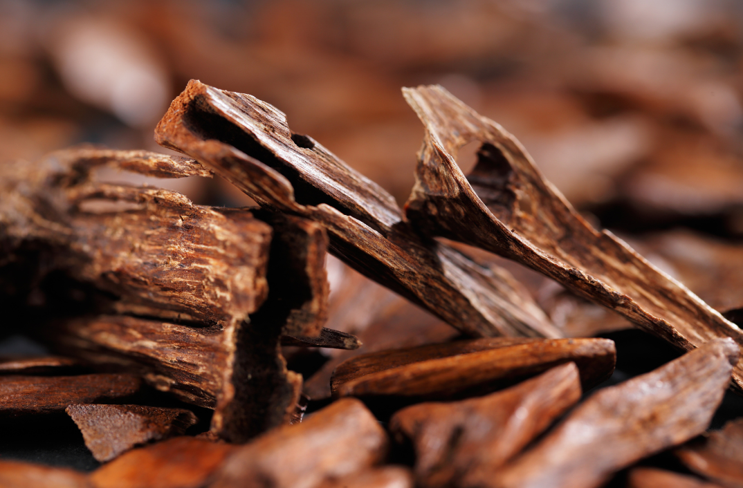 Oud aneb tajemství smyslnosti ukryté v kapce vůně